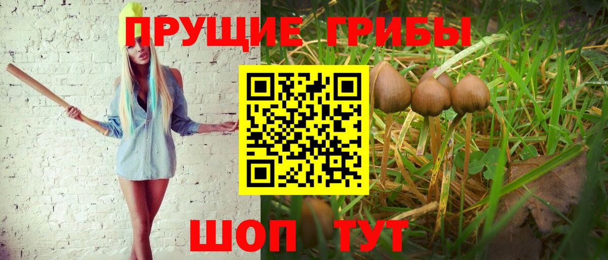 Псилоцибиновые грибы Magic Shrooms Ульяновск