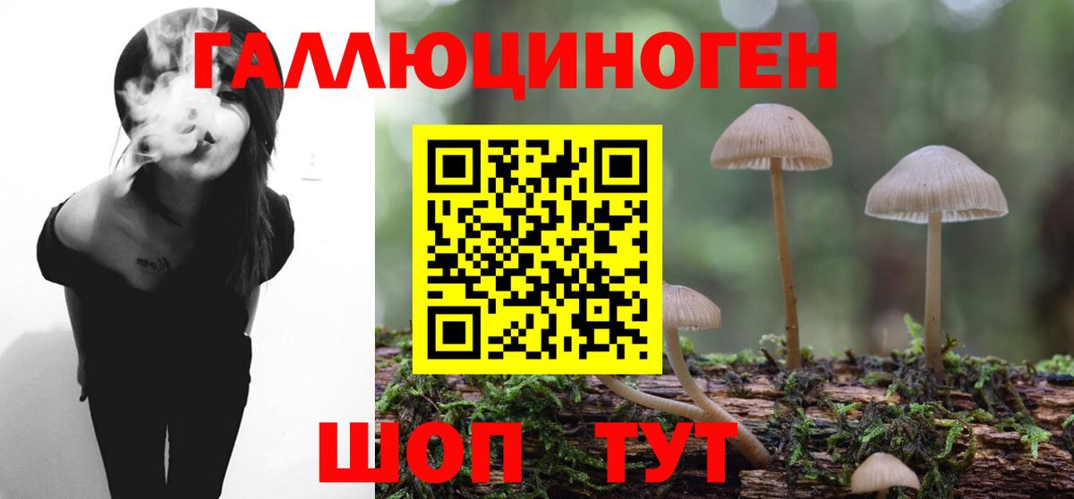 Галлюциногенные грибы Psilocybe  Вход с VPN  Ульяновск 